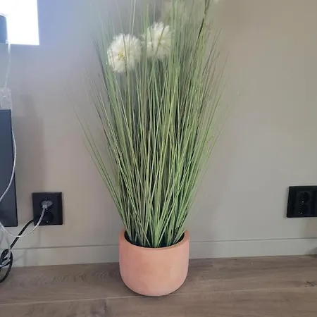 Single Elegant I Sentrum- Sea View *