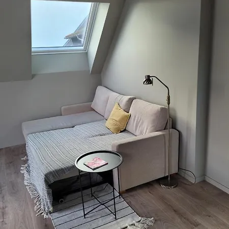 Single Elegant I Sentrum- Sea View Отель типа 