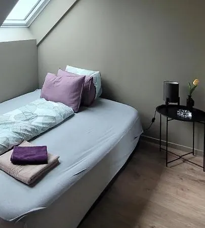 B&B Single Elegant I Sentrum- Sea View 올레순