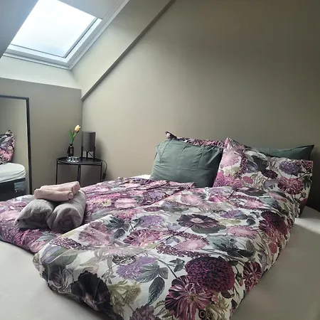 B&B Single Elegant I Sentrum- Sea View 올레순